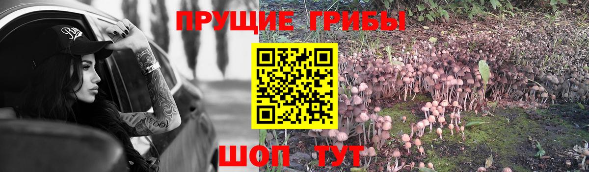 Псилоцибиновые грибы Cubensis  Вход с VPN  Выкса 